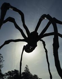 No podía faltar en la exposición portuguesa de Louise Bourgeois una de sus ‘arañas’