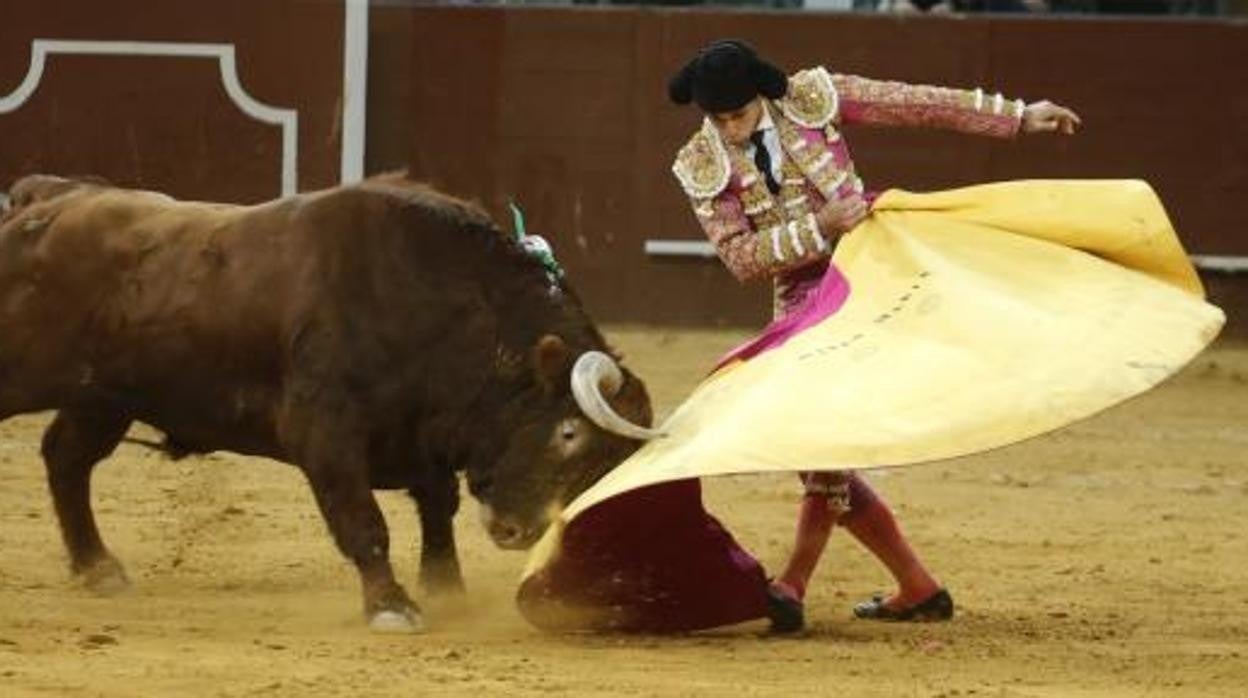 Ginés Marín gustó con el capote en el último toro