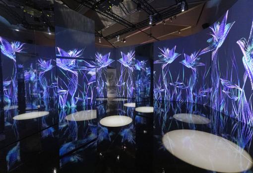 Un mundo de maravillas para huir de la pandemia