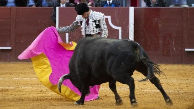 Pablo Aguado, herido de gravedad en Vistalegre, reaparece este domingo en Sanlúcar