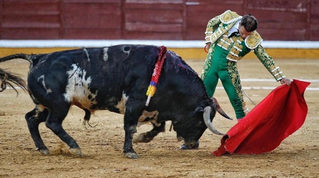 Antonio Ferrera, protagonista del San Juan taurino de Badajoz