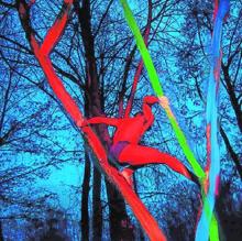 Lo mejor de PHotoEspaña (de cara a la galería)