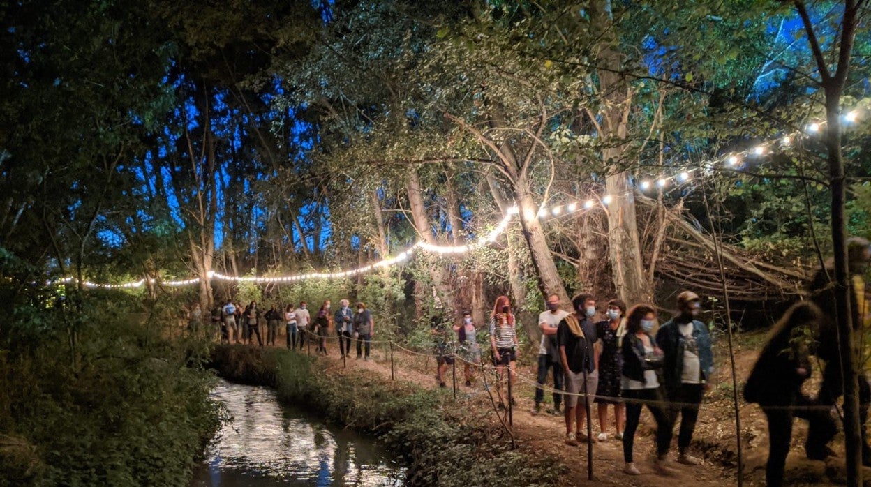 El Bosque Sonoro, el milagro de un festival pop en el claro de una olmeda junto al río Huerva