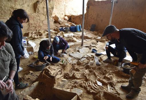 Excavación de équidos en el patio del Turuñuelo