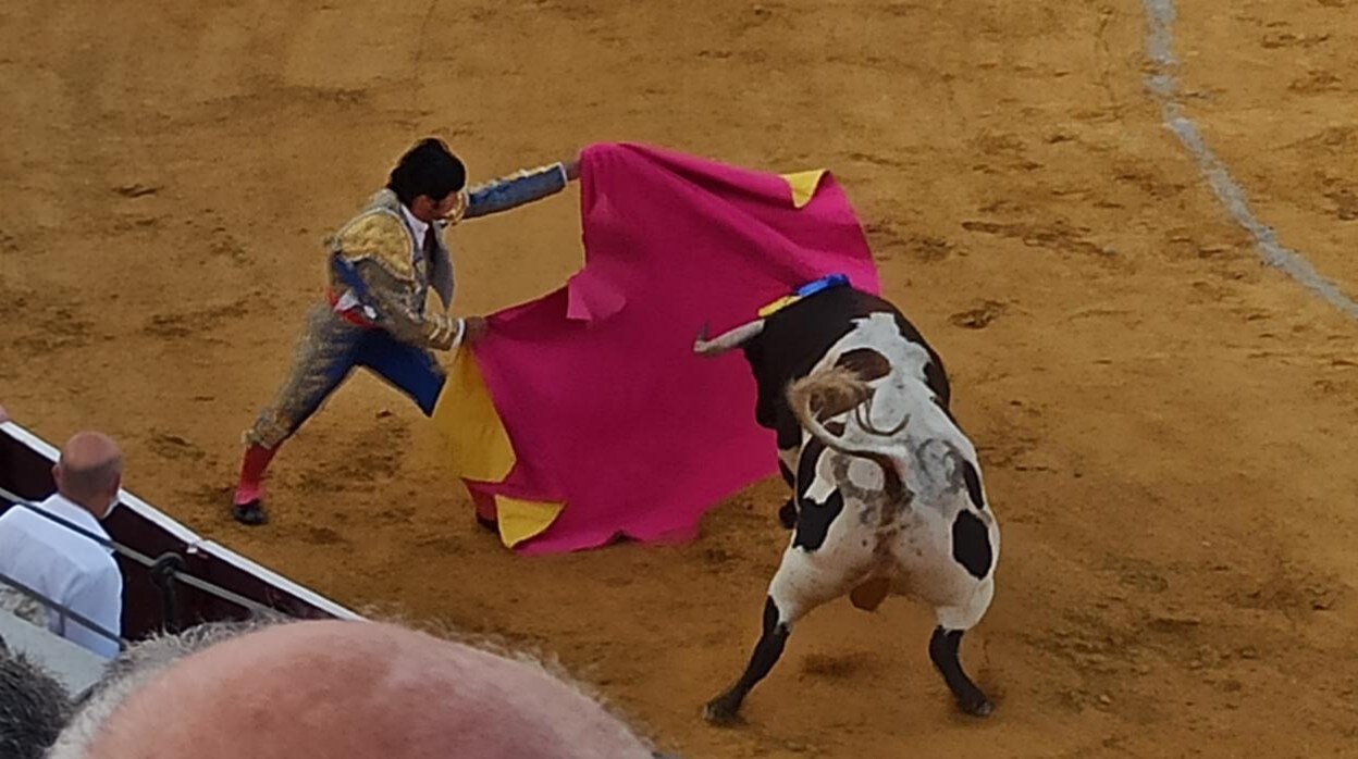 Morante sorprendió por manoletinas en el broche de faena al cuarto toro en Herrera del Duque
