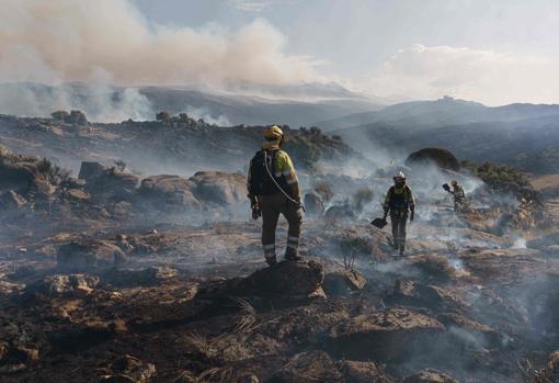 Bomberos en el incendio de Navalacruz