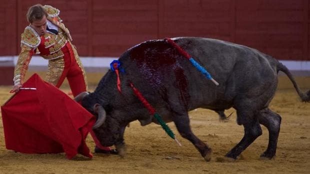 Gesto del herido Javier Cortés con los victorinos en el regreso de los toros a Alcalá