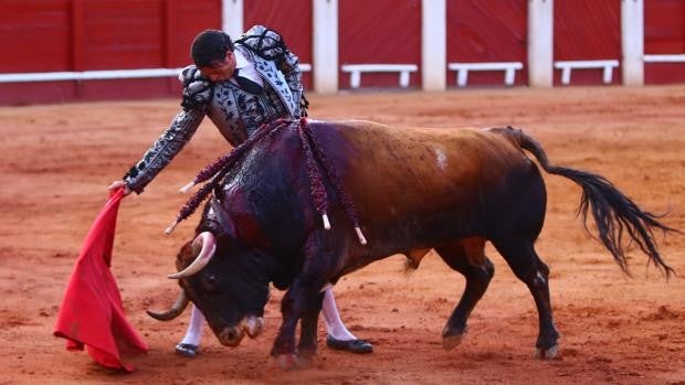 Corrida del Motín: mejor la ambientación goyesca que los flojos toros