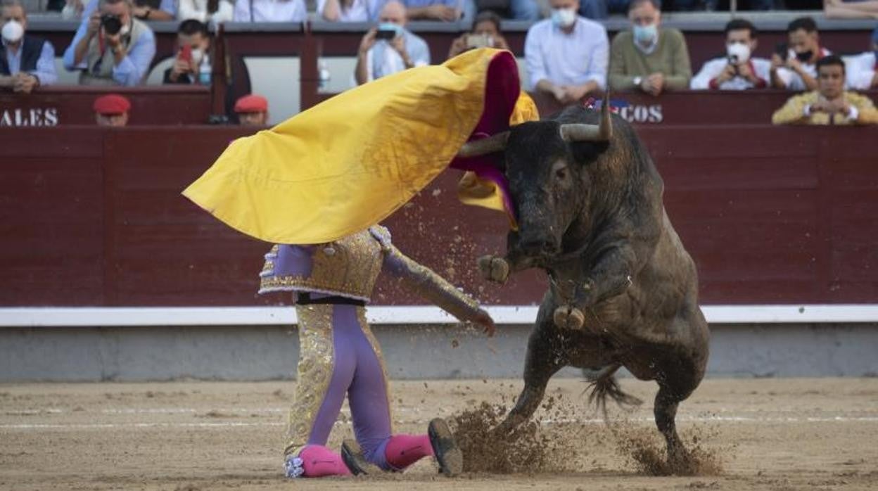 Lamelas se fue a portagayola en sus dos toros