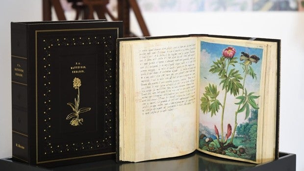 La edición de primor resurge en el Alcázar con un homenaje a la botánica antigua