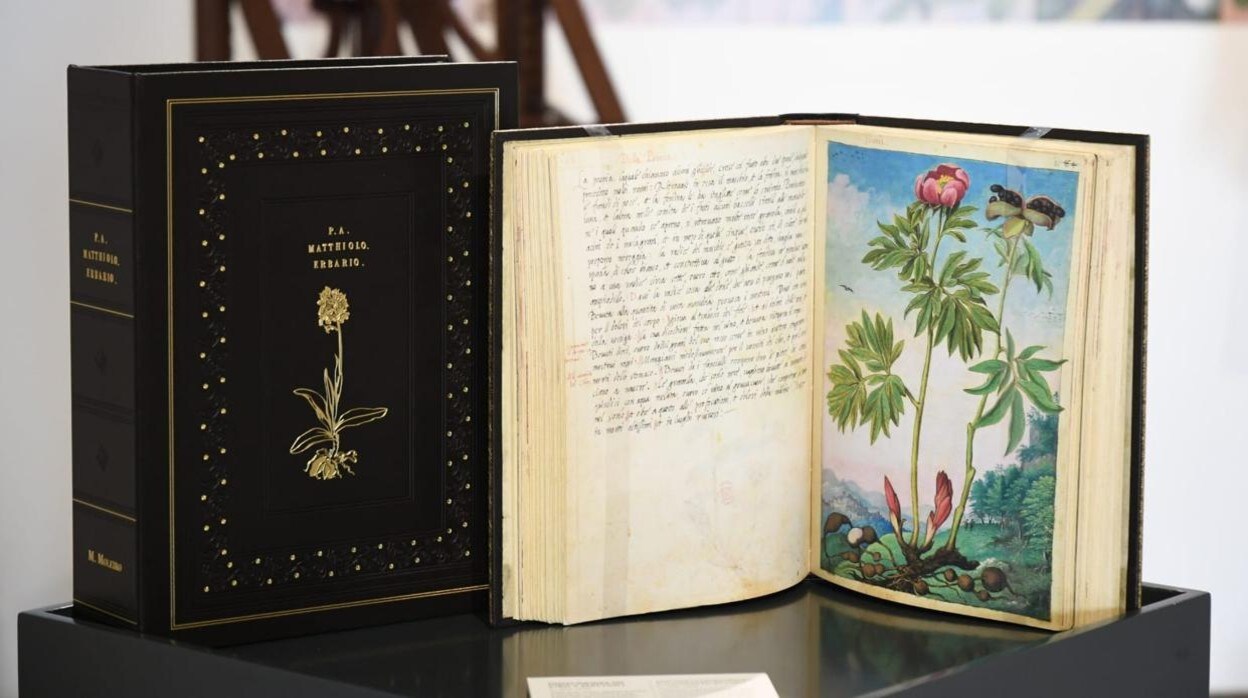 El libro clonado con el 'Dioscórides de Cibo y Mattioli' que se exhibe en el Alcázar