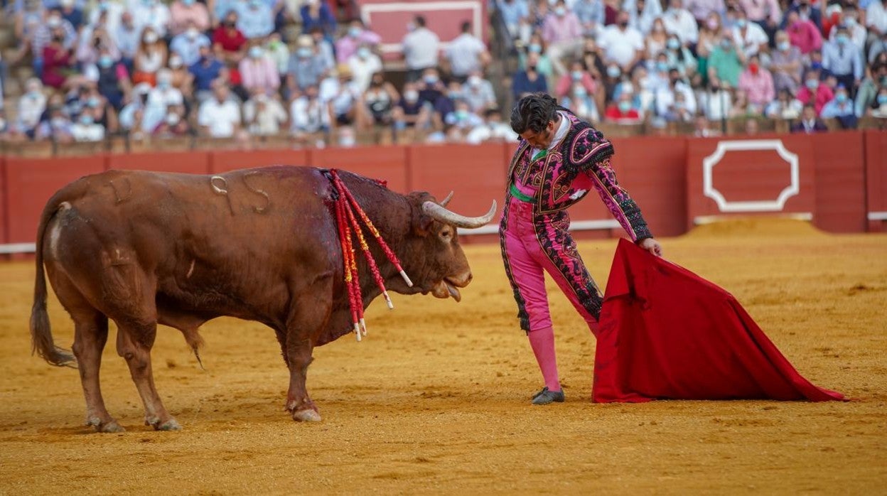 Morante de la Puebla, encajado y sentido ante el toro ‘Jarcio’ de Juan Pedro Domecq