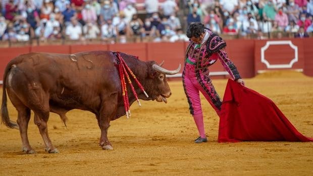 Morante de la Puebla arrasa en los premios taurinos de la Real Maestranza