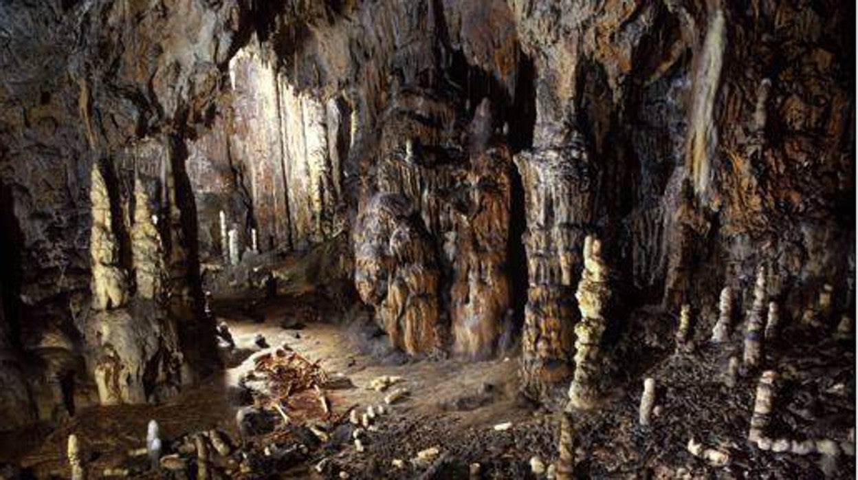 Piezas encontradas en el interior de La Garma