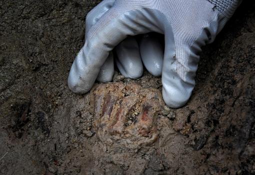 Los restos de la mano del esqueleto del fugitivo