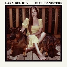 Críticas de los discos de la semana: Nick Cave, Jarvis Cocker, Helado Negro, Remi Wolf, Camouflage y Lana del Rey