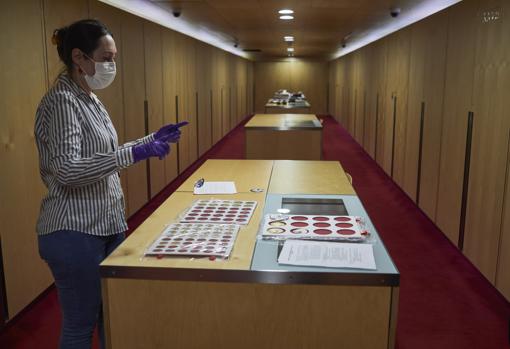 Paloma Otero, en la cámara acorazada del MAN