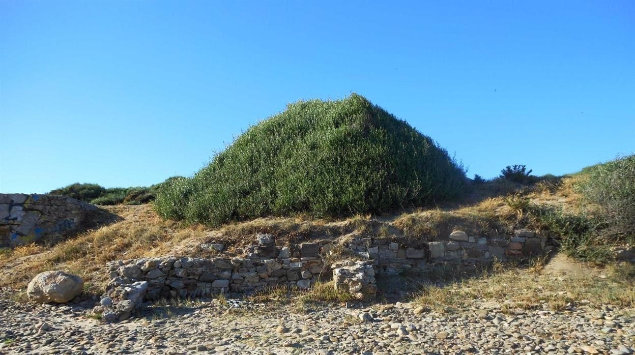El yacimiento romano de Mellaria en Tarifa, protegido como Bien de Interés Cultural