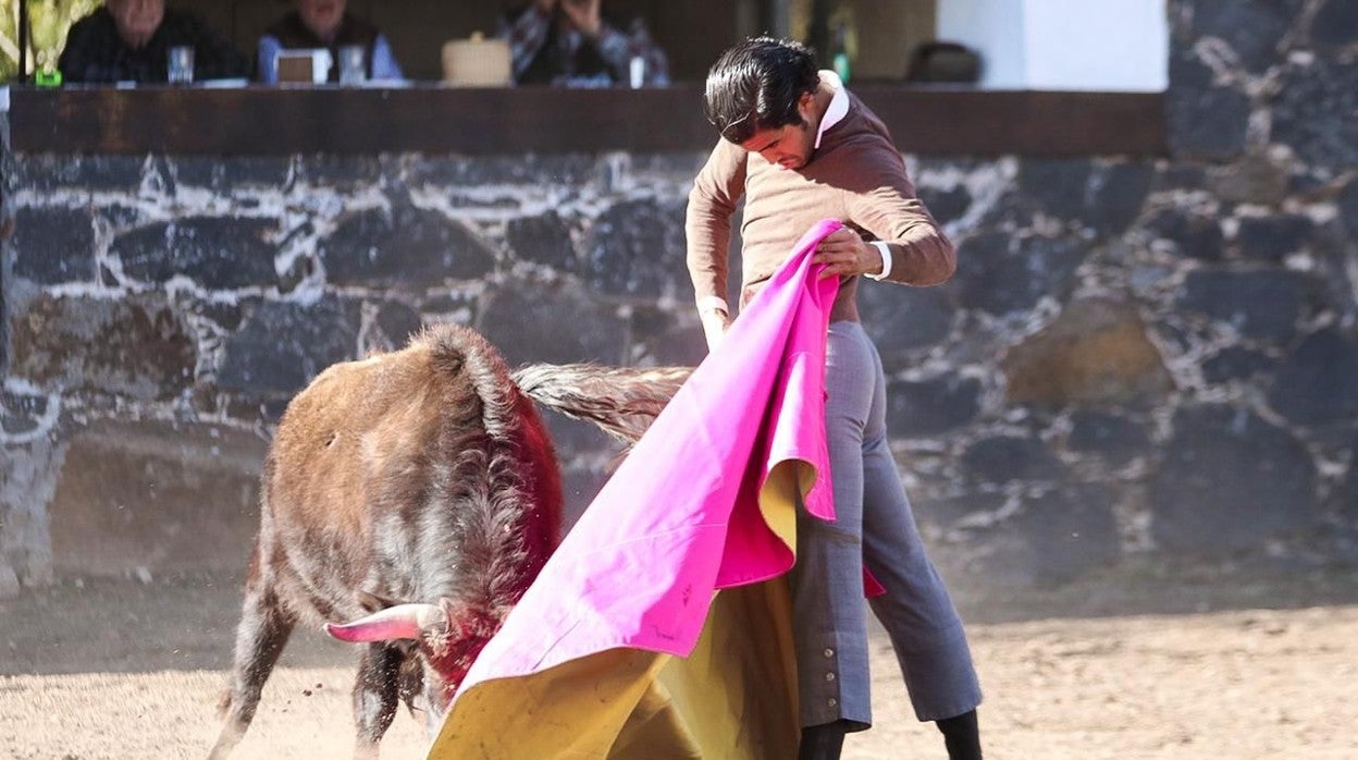 Diego San Román, a la verónica