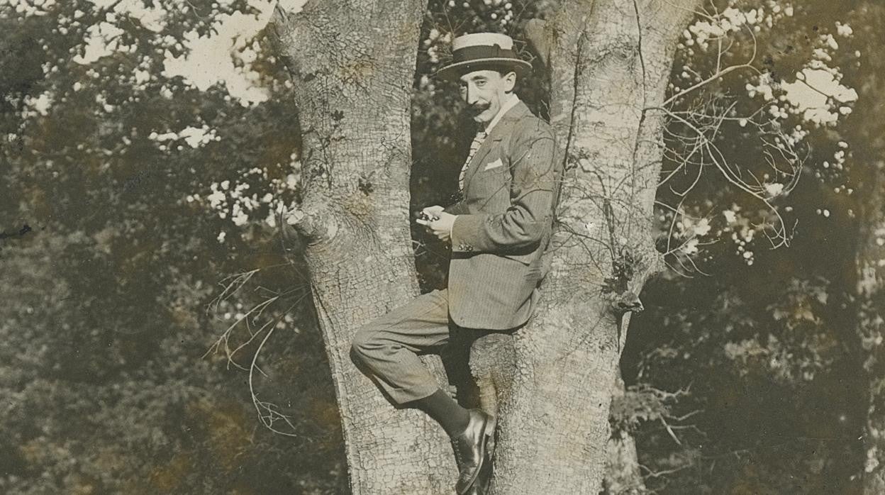 Wenceslao Fernández Flórez, subido a un árbol porque sí