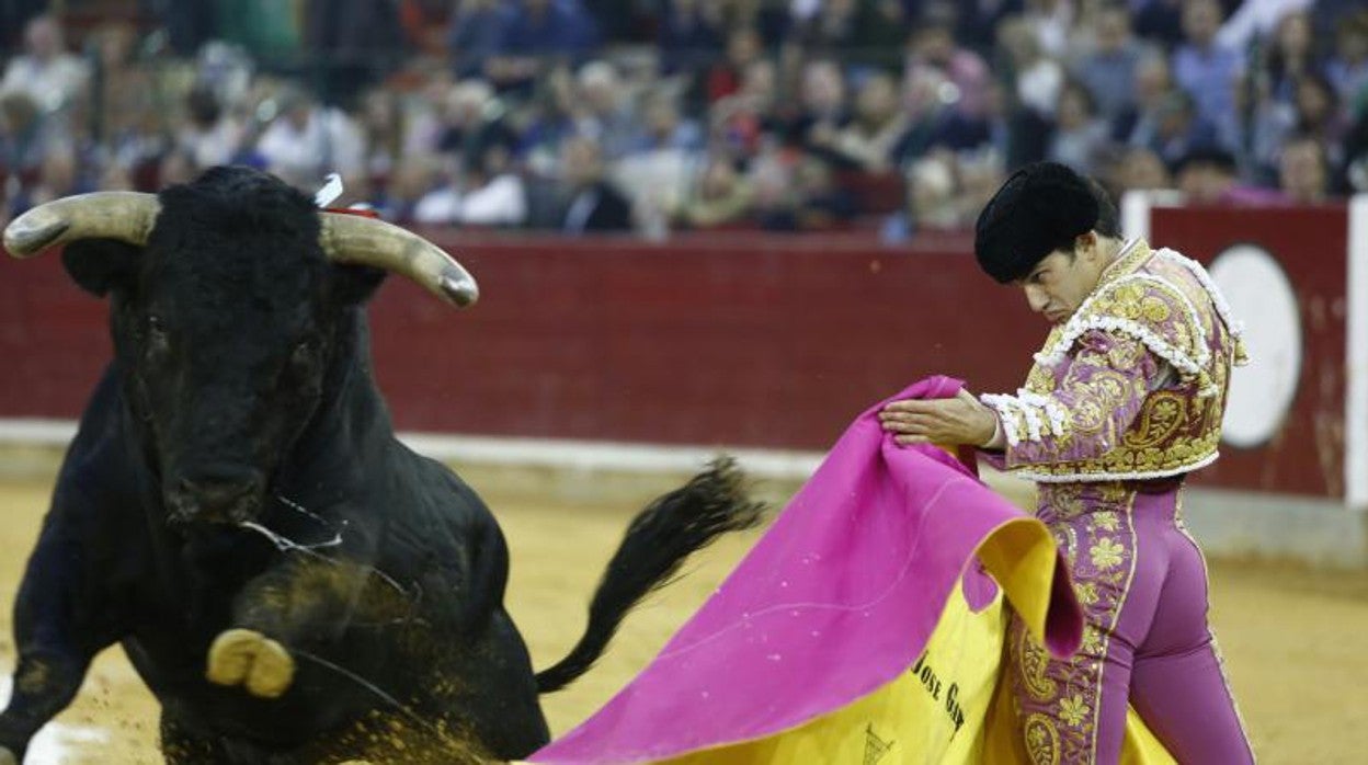 Toros en la Misericordia