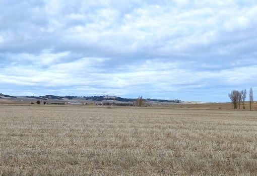 Panorámica del campo de batalla de Villalar con Marzales al fondo