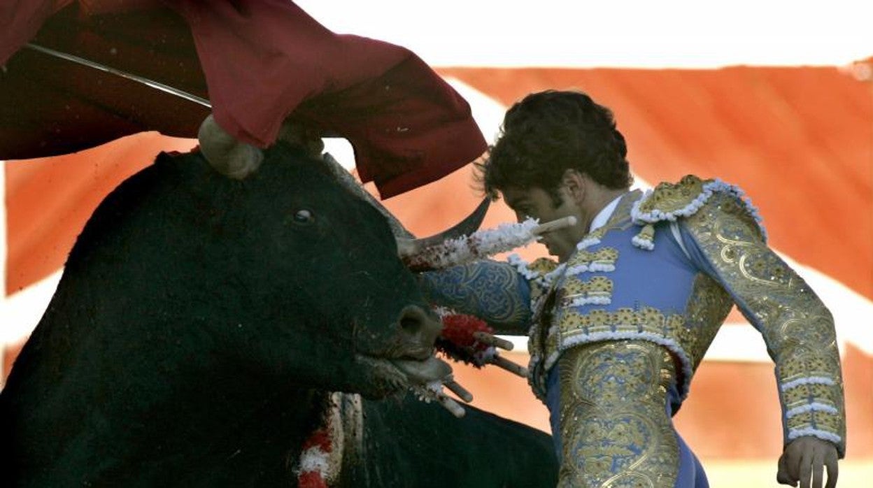 José Tomás, en Linares