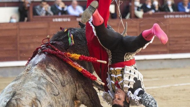 La muy grave lesión de Emilio de Justo le impide consumar su hazaña en Las Ventas