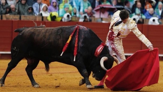 La corrida de Sevilla, en directo | Toros de Juan Pedro y Parladé para Daniel Luque, Álvaro Lorenzo y Ginés Marín