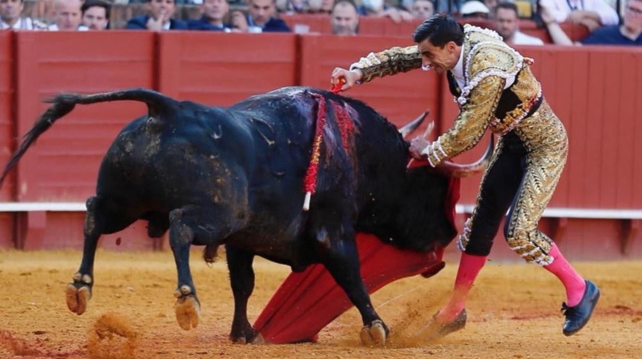 Gran estocada de Paco Ureña al tercer toro