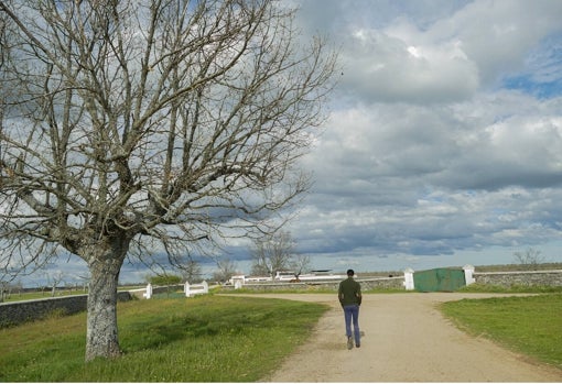 El camino del torero