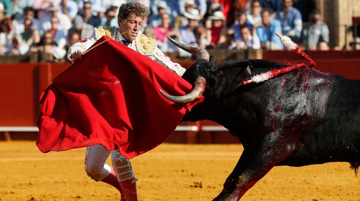 Manuel Escribano, en un momento de apuro durante la corrida de Miura que ha lidiado en solitario