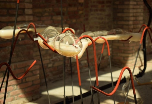 'Llim', de Lara Fluxà, en el Pabellón de Cataluña