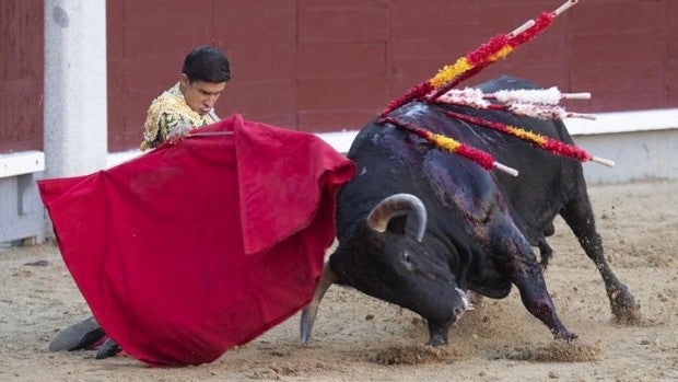 San Isidro, en directo: novillos de Fuente Ymbro para Diosleguarde, Martínez y Alarcón