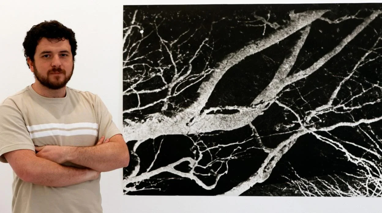 Martínez Bellido ante una de sus obras en la galería BirimbaoManuel Gómez