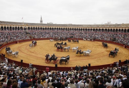 El premio distingue, entre otras cosas, la labor de Carbajal como arquitecto conservador de la Real Maestranza