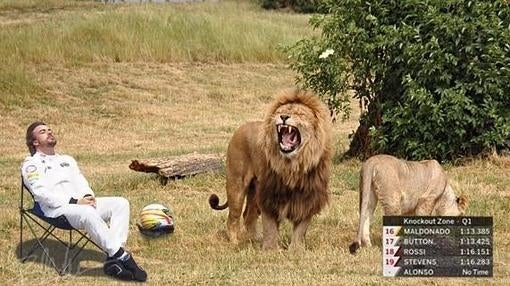 Durmiendo entre leones