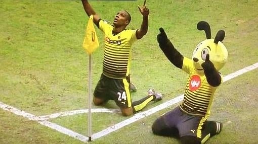 La divertida mascota del Watford