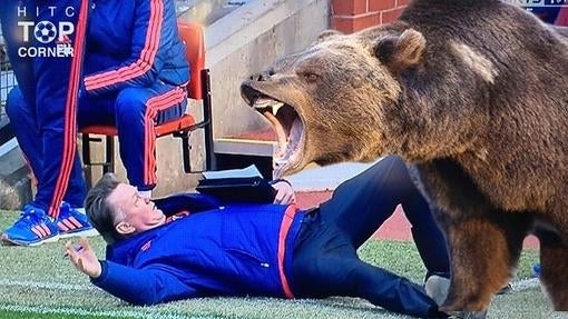 Los mejores memes del piscinazo de Louis van Gaal