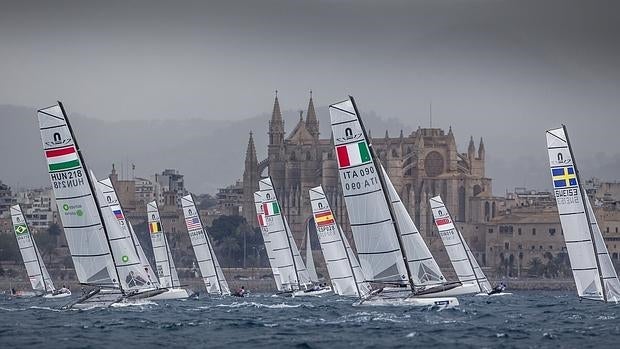 Los nacra en acción