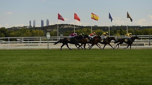 Mañana domingo, otra jornada emocionante en el hipódromo