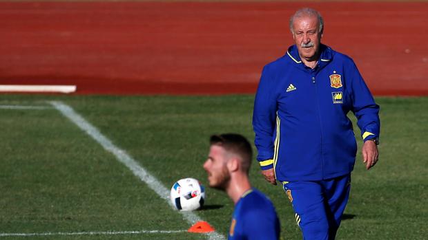 Del Bosque en COPE: «No tengo por qué dudar de De Gea»