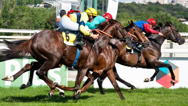 Carrera de caballos en La Zarzuela