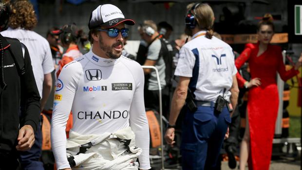 Alonso: «Si no me gusta, lo dejo en 2017»