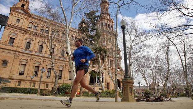 Un hombre corre opr el parque de María Luisa