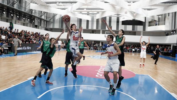 Real Madrid-Baskonia en directo