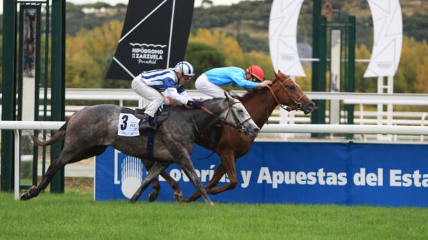 Sigue en directo la jornada en el Hipódromo de La Zarzuela