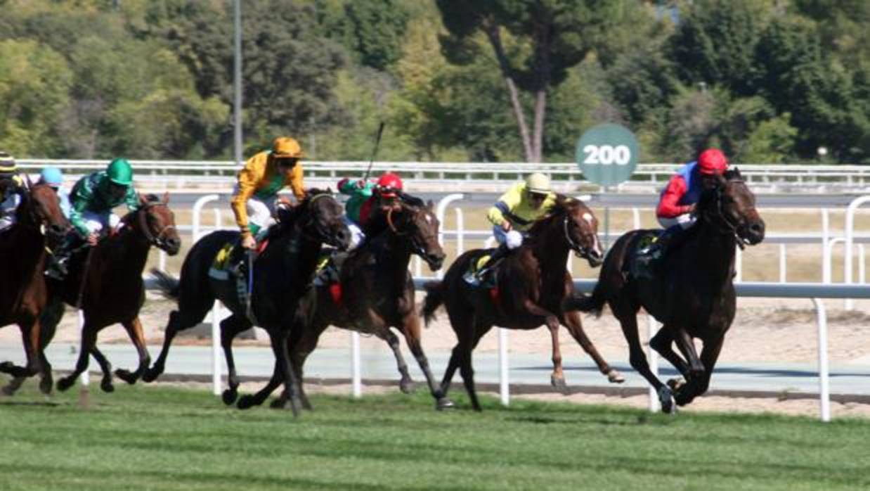 El gran premio Beamonte, «Oaks» español, con «Queenrose» como favorita