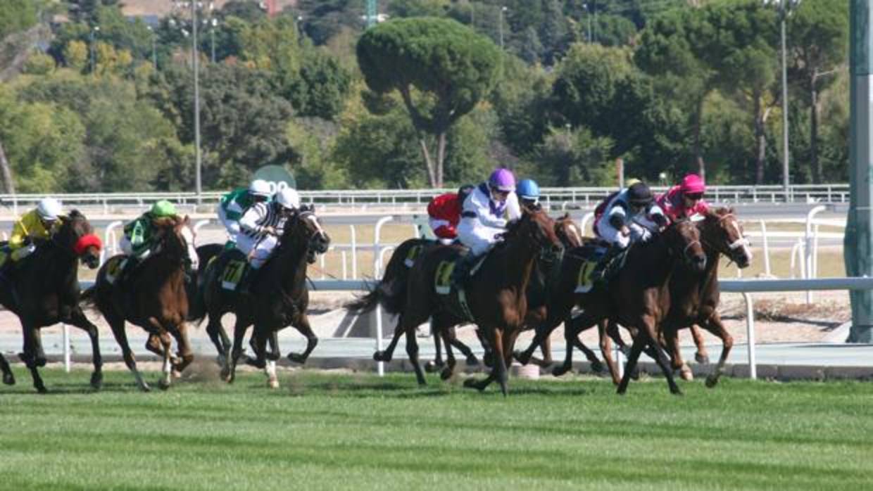 Carreras de caballos en el Hipódromo de la Zarzuela