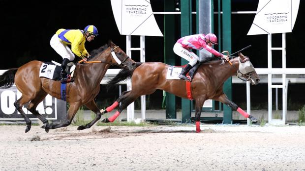 Captain Moonlite, primer vencedor de las noches del Hipódromo